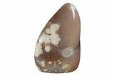 Free-Standing, Polished Flower Agate - Madagascar #205418-1